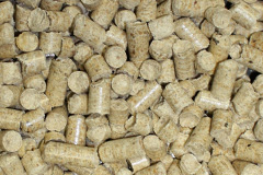 Cadbury Heath biomass boiler costs